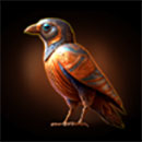 JOKER RA SUNRISE Bird